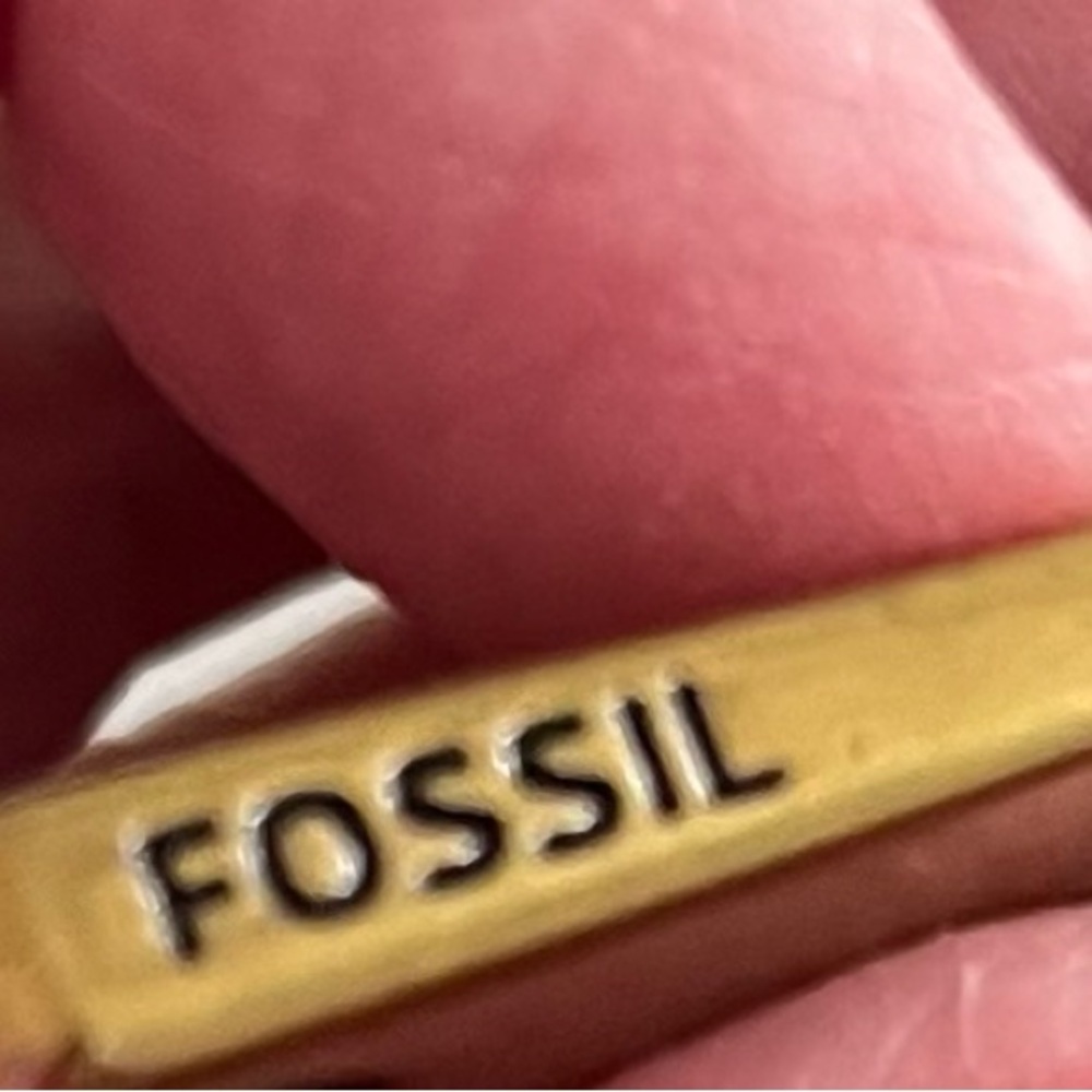 Fossil Coral Leather Crossbody Bag